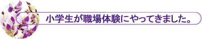 wĚɂĂ܂B