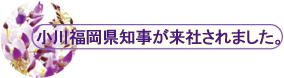 앟mЂ܂B