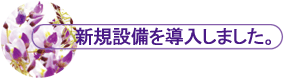 VKݔ𓱓܂B