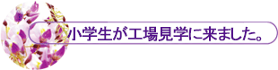 wHꌩwɗ܂B