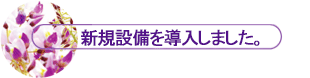 VKݔ𓱓܂B