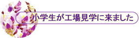 wHꌩwɗ܂