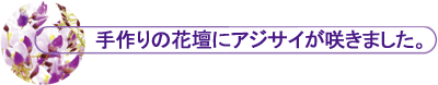ŐV ̉ԒdɃAWTC炫܂B