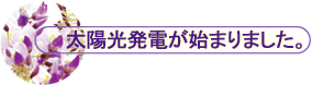 ŐV zdn܂܂B