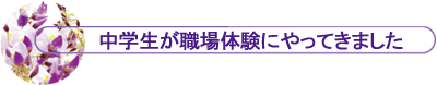 wĚɂĂ܂